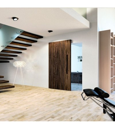 Stumdomų Durų Sistema MAGIC 2  iki 80 kg / 1100 mm