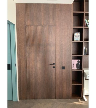 Nematomos durys su baldine plokšte