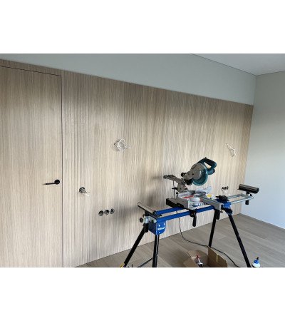 Nematomos durys su baldine plokšte