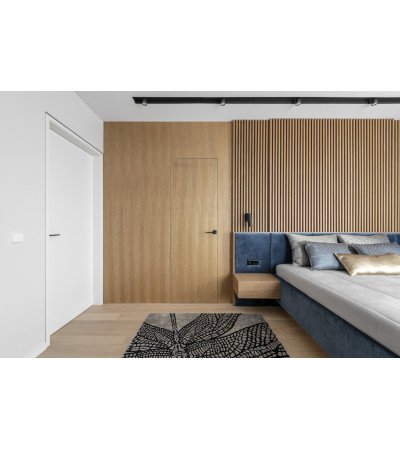 Nematomos durys su baldine plokšte